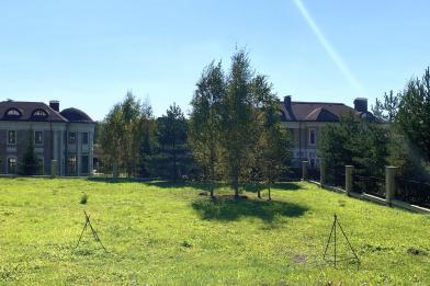 Участок, Идиллия КП (Раево), 25.38 сот