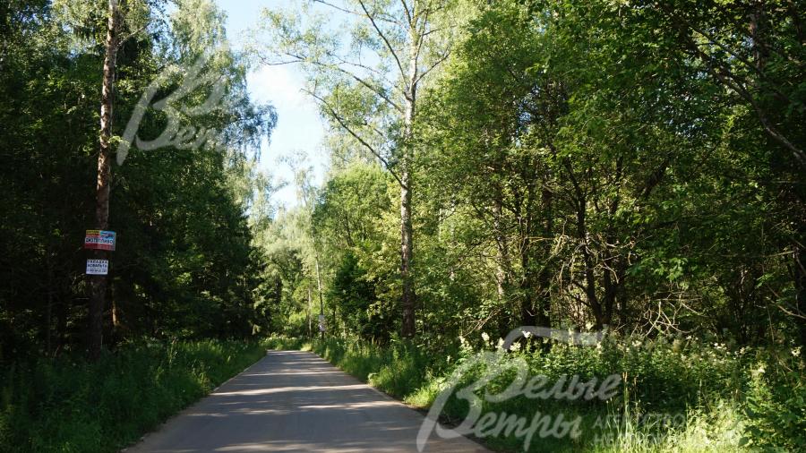 Дорога к поселку двухполосная, асфальтированная