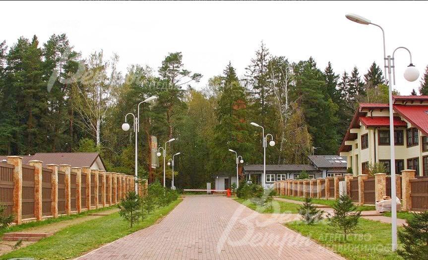 Поселок окружен сосновым лесом