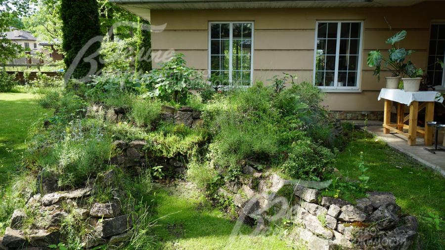 Альпийская горка на участке