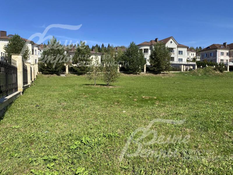 На участки взрослые деревья сосны, березы, ели