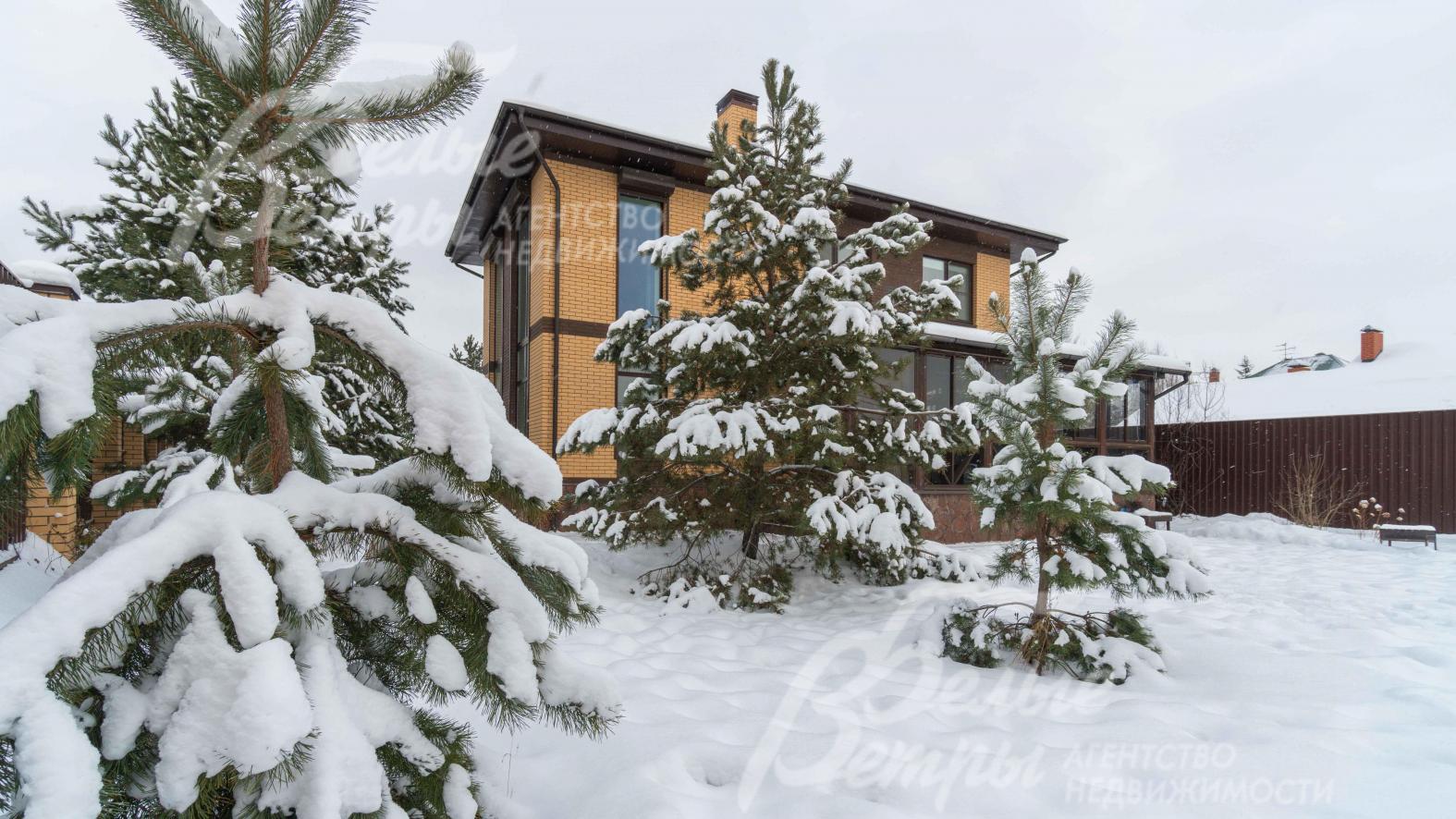 Сосны на участке