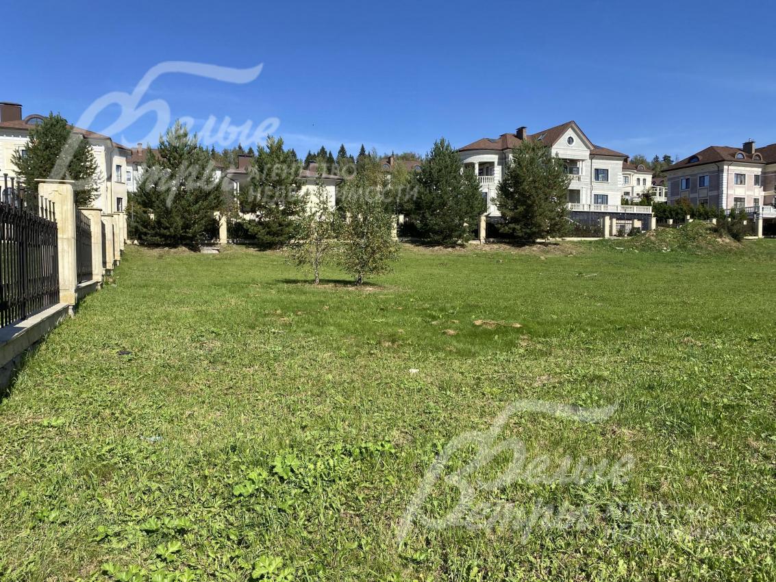 На участки взрослые деревья сосны, березы, ели