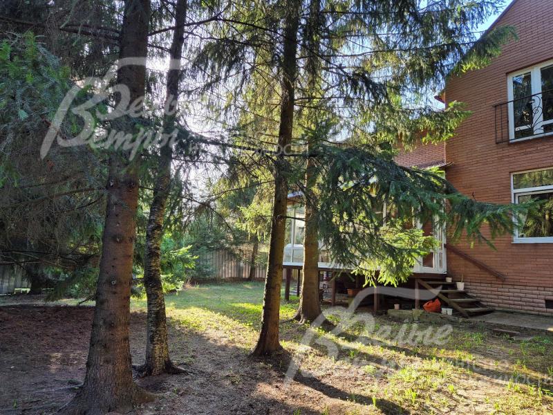 Дом в окружении лесных деревьев