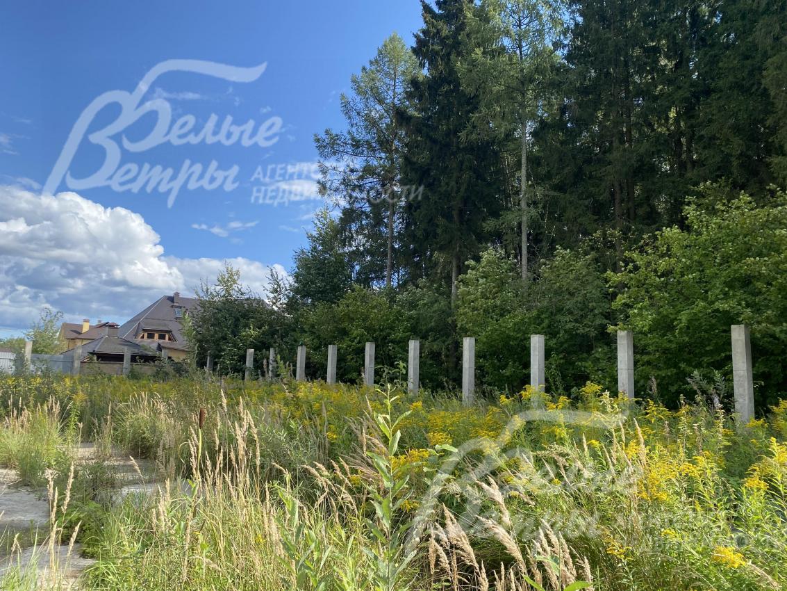 Участок граничит с лесом