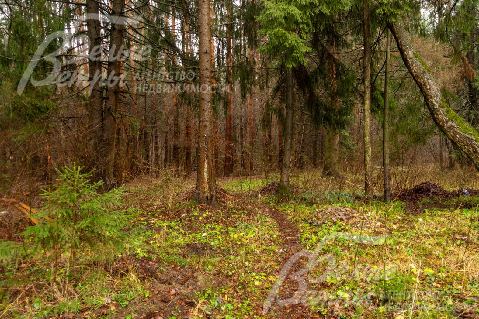 Участок дополнительно включает арендованную на 49 лет часть лесного массива