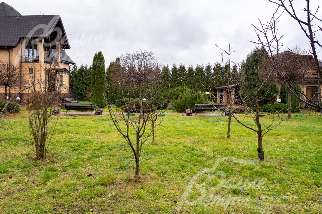 На участке высажены плодовые деревья и кустарники: яблони, черешни, слива, алыча, крыжовник, черная смородина