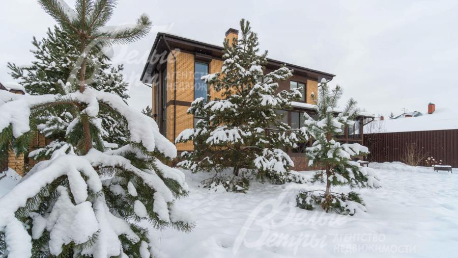 Сосны на участке