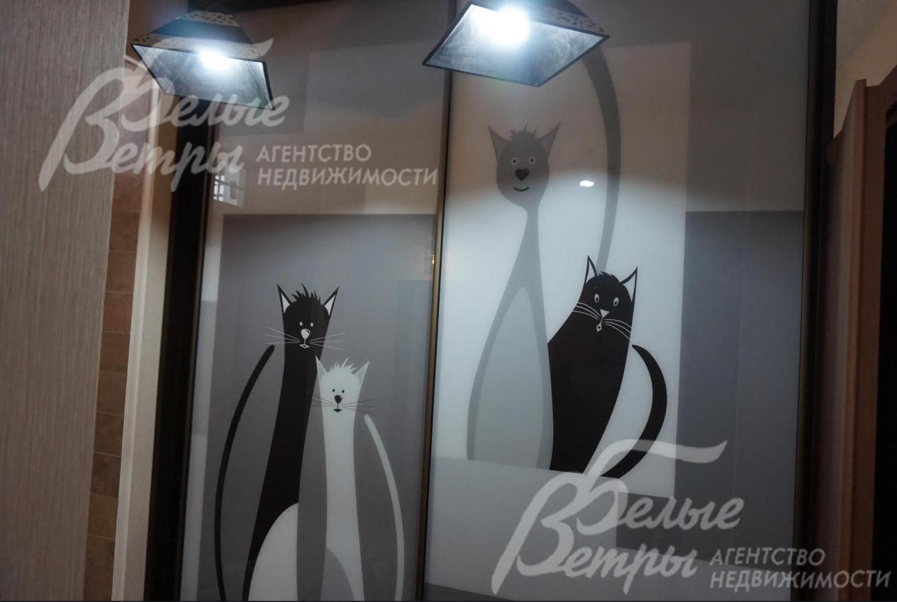 Шкаф встроенный "Кошки"