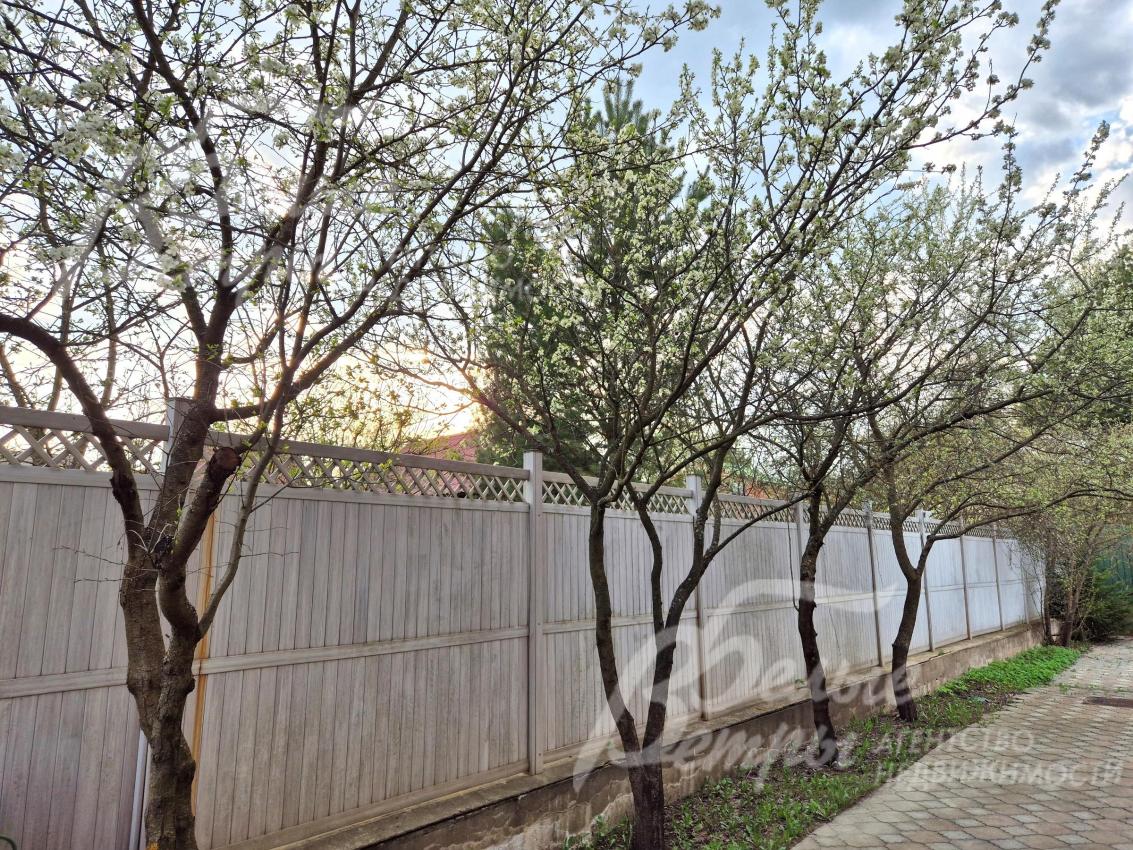 Плодовый сад на участке