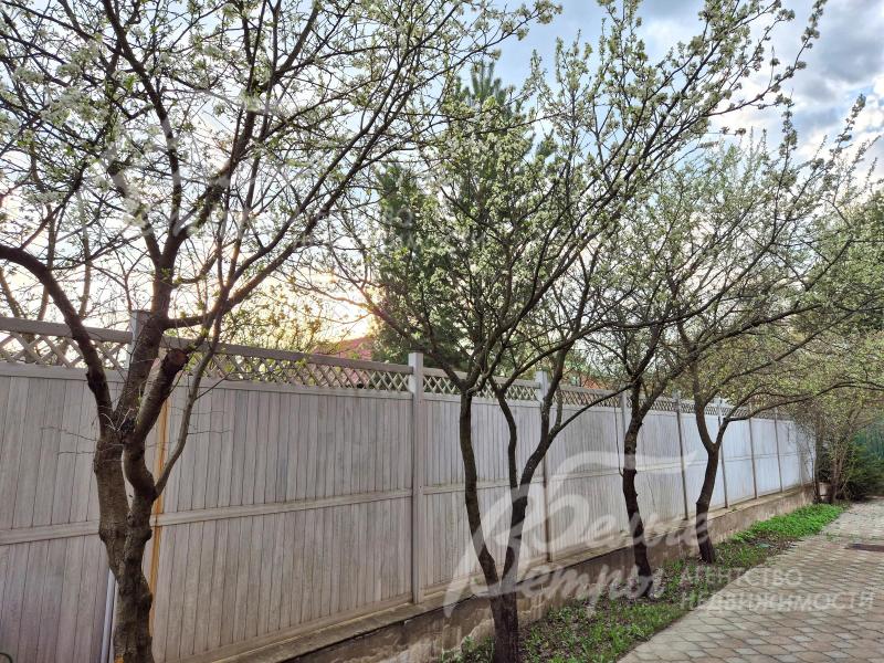 Плодовый сад на участке