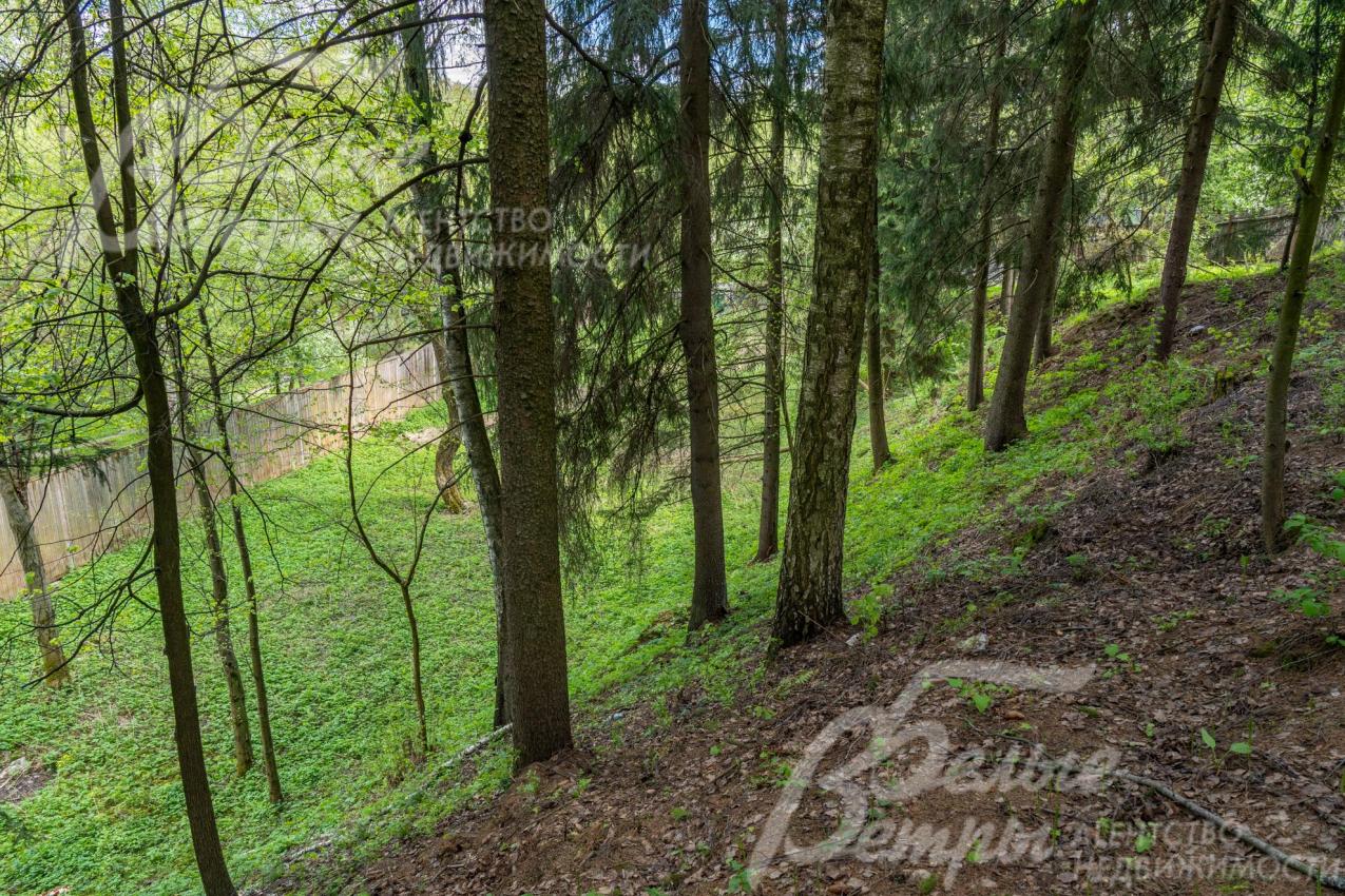 Рельеф участка включает ландшафтную часть, лесную зону с вековыми деревьями, овраг (в нижней трети участка), спуск к реке