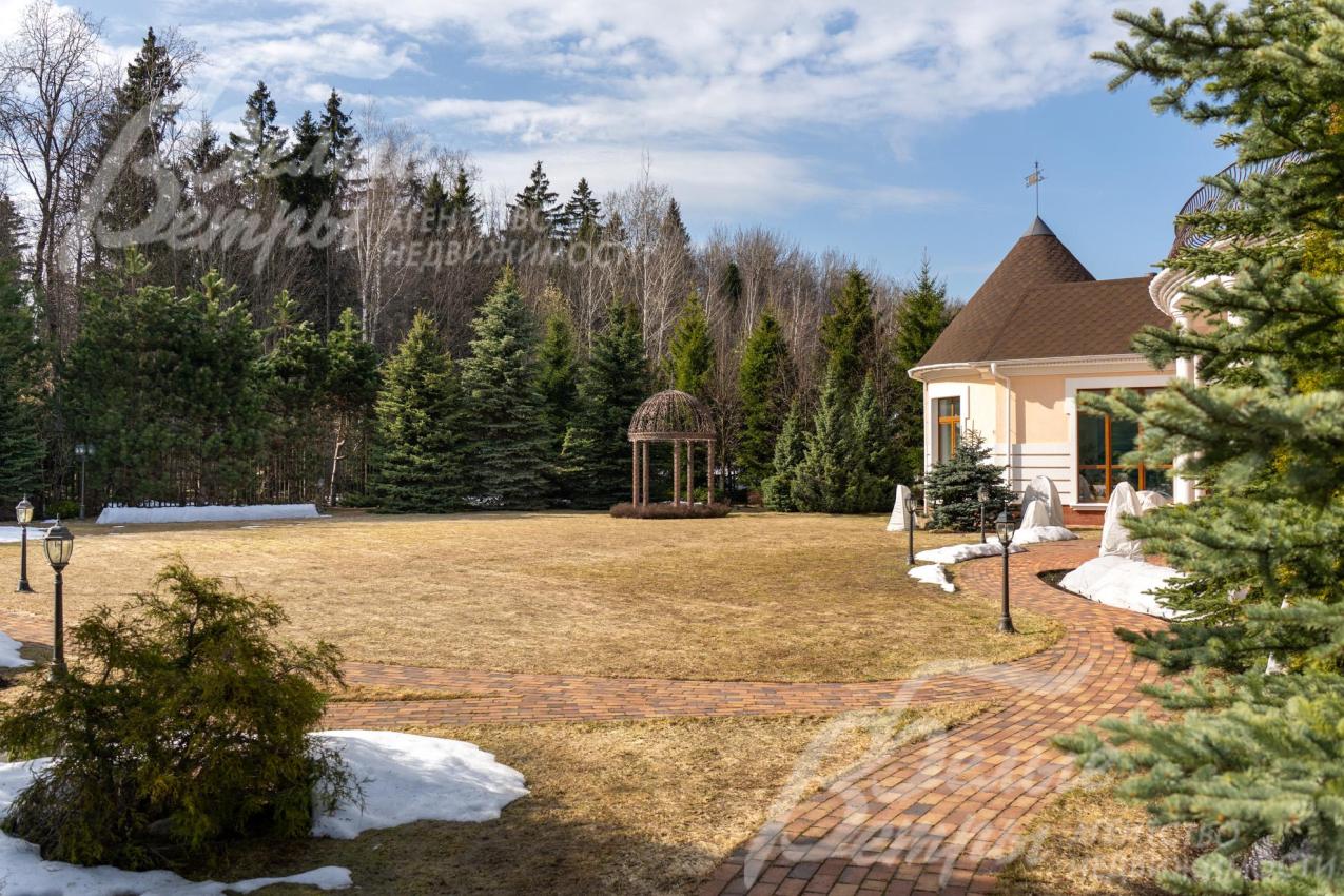 Высажено более 40 туй высотой около 6 м, круглые туи, голубые ели, сосны, лиственница, сирень, можжевельники, рододендроны, дикий виноград, липовая аллея 