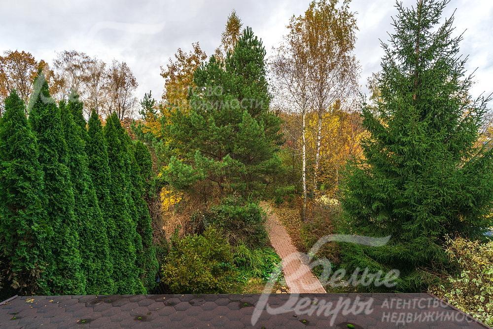 Вид с балкона на парк