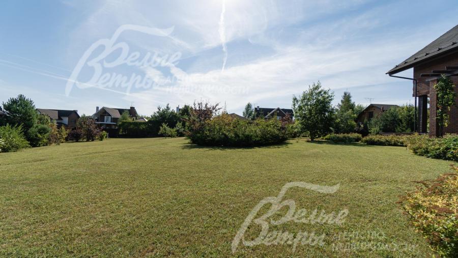 Декоративные кустарники