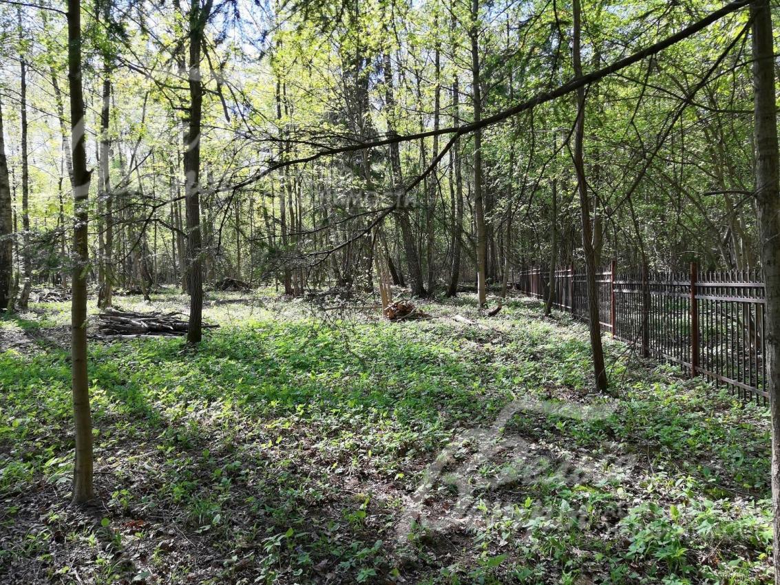 Участок 42 сотки сухой, ровный