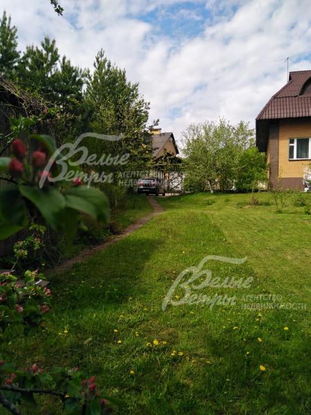 На участке газон и множество деревьев