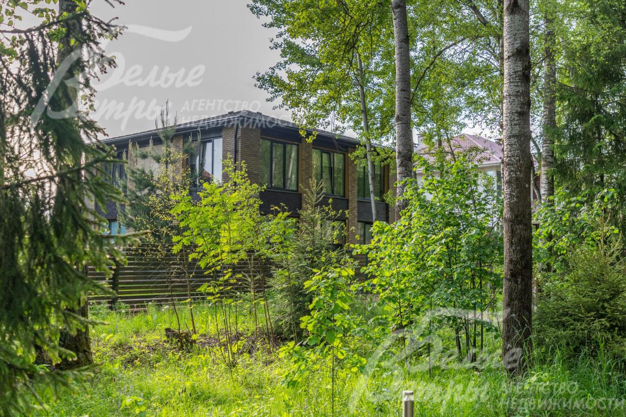 В лесу растут вековые деревья, обустроены тропинки, освещение, беседки, зоны барбекю