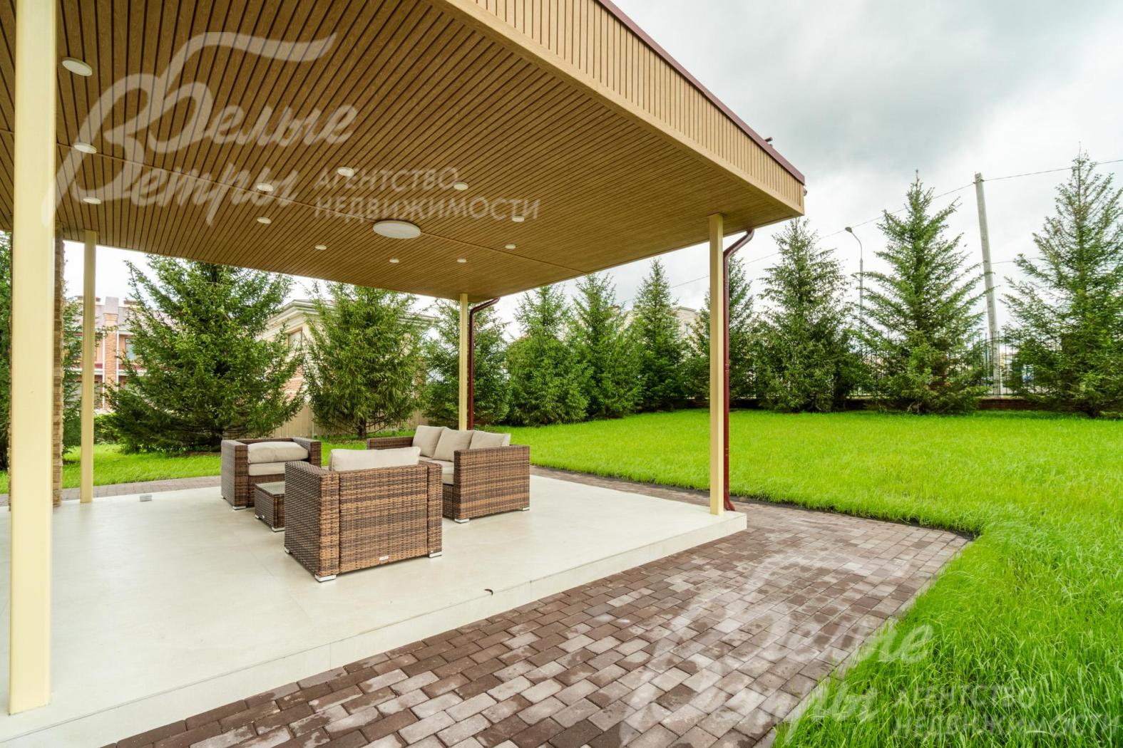 Высажены взрослые Ели