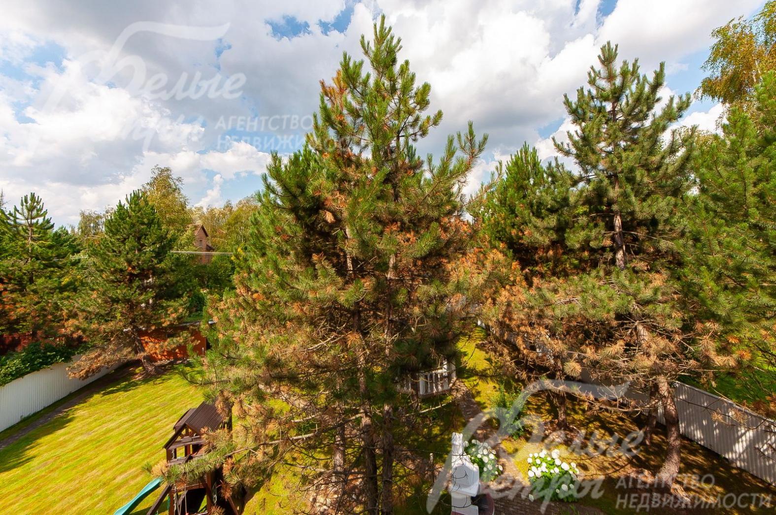 Участок 15 соток.