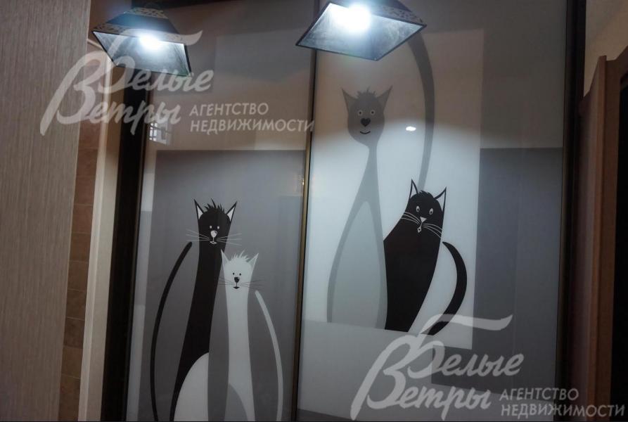 Шкаф встроенный "Кошки"