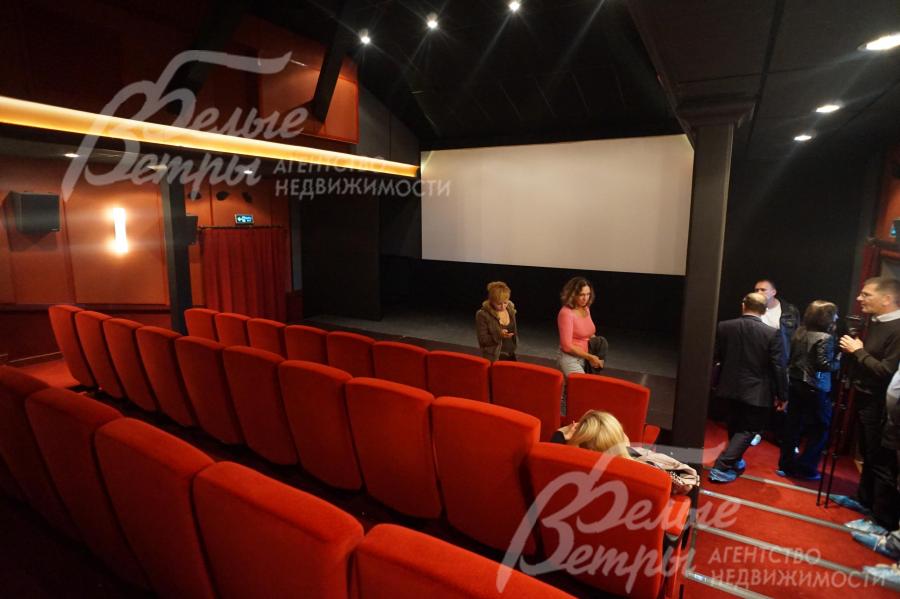 Кинозал в Глаголево-Парк