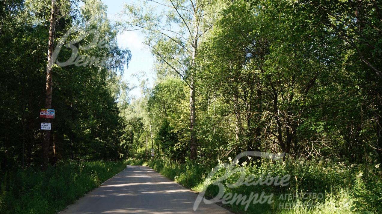 Дорога к поселку двухполосная, асфальтированная