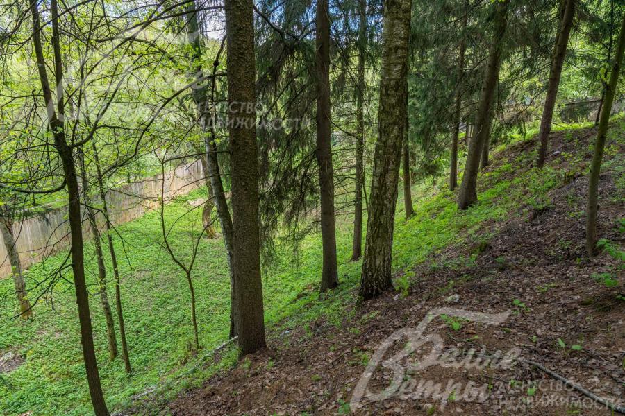 Рельеф участка включает ландшафтную часть, лесную зону с вековыми деревьями, овраг (в нижней трети участка), спуск к реке