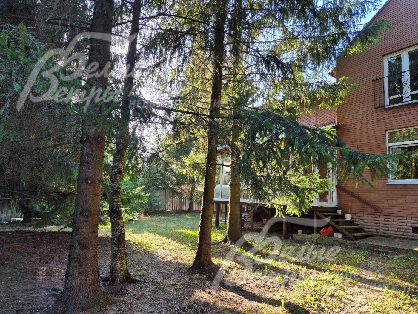 Дом в окружении лесных деревьев