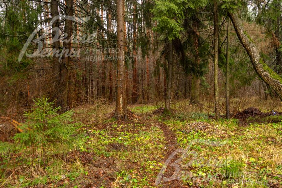 Участок дополнительно включает арендованную на 49 лет часть лесного массива