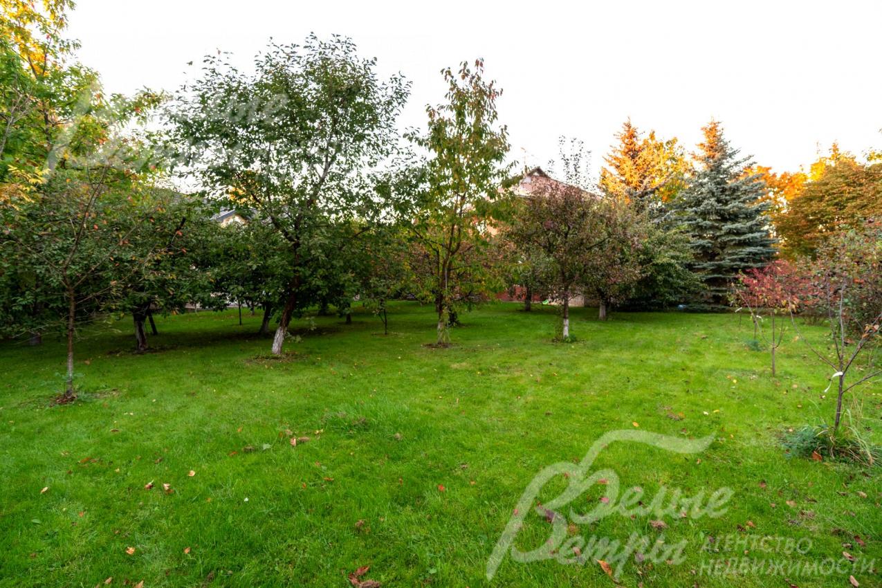 Ухоженный газон на участке