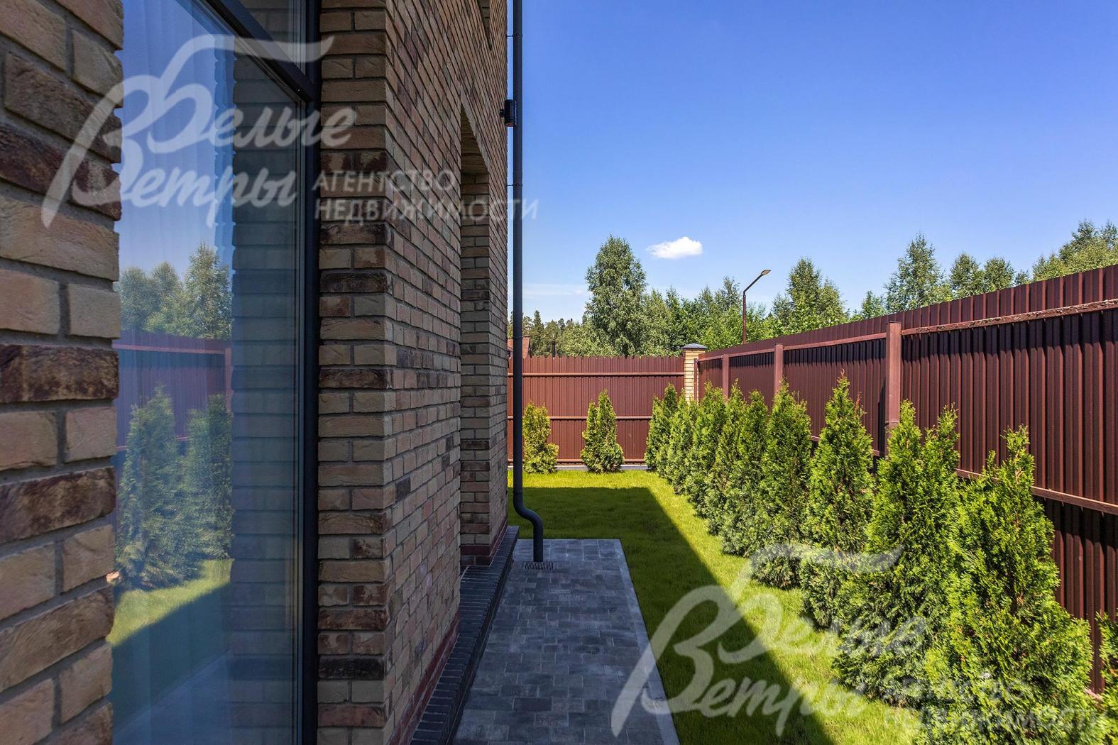 Высажено 100 туй