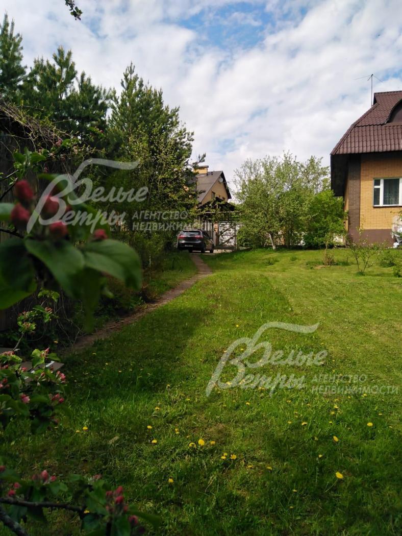 На участке газон и множество деревьев