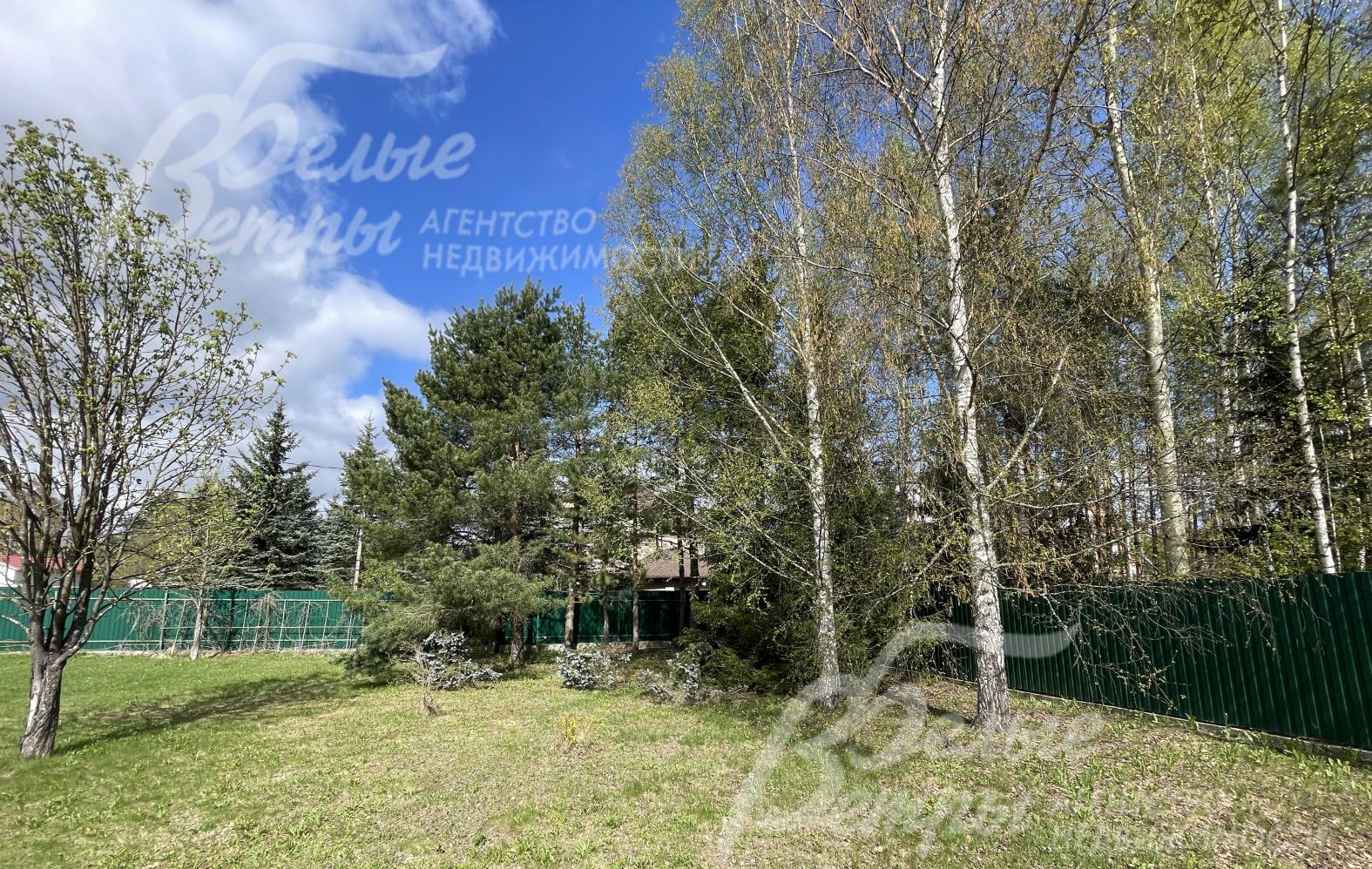 Взрослые деревья