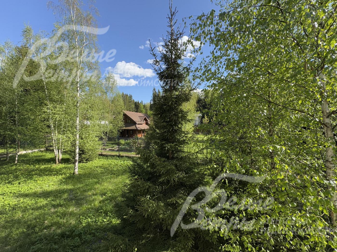 На участке много елей, что создаёт особенную природную атмосферу