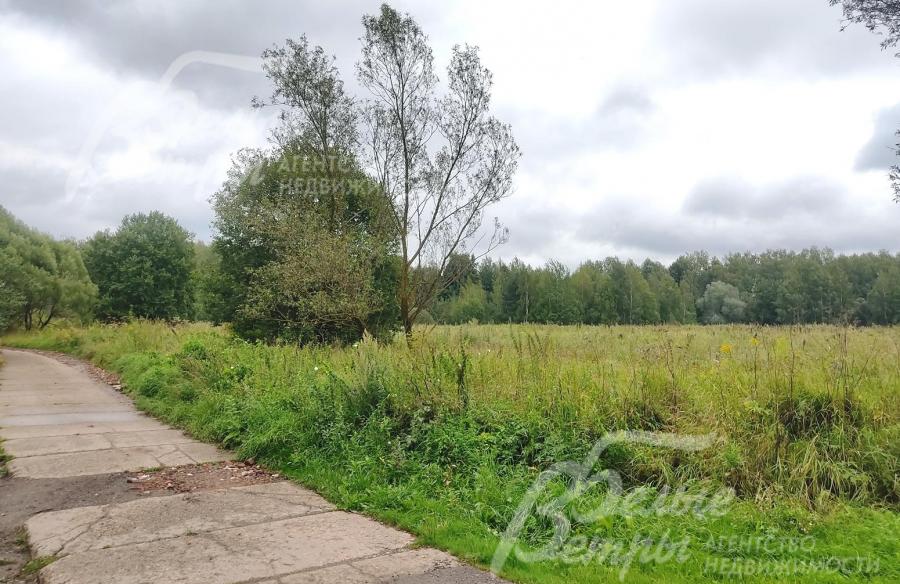 С другой стороны участок примыкает к лесу