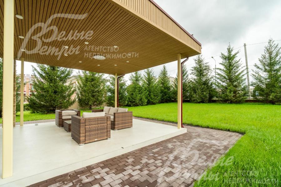 Высажены взрослые Ели