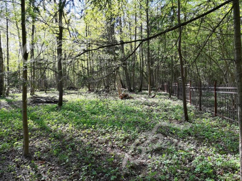 Участок 42 сотки сухой, ровный