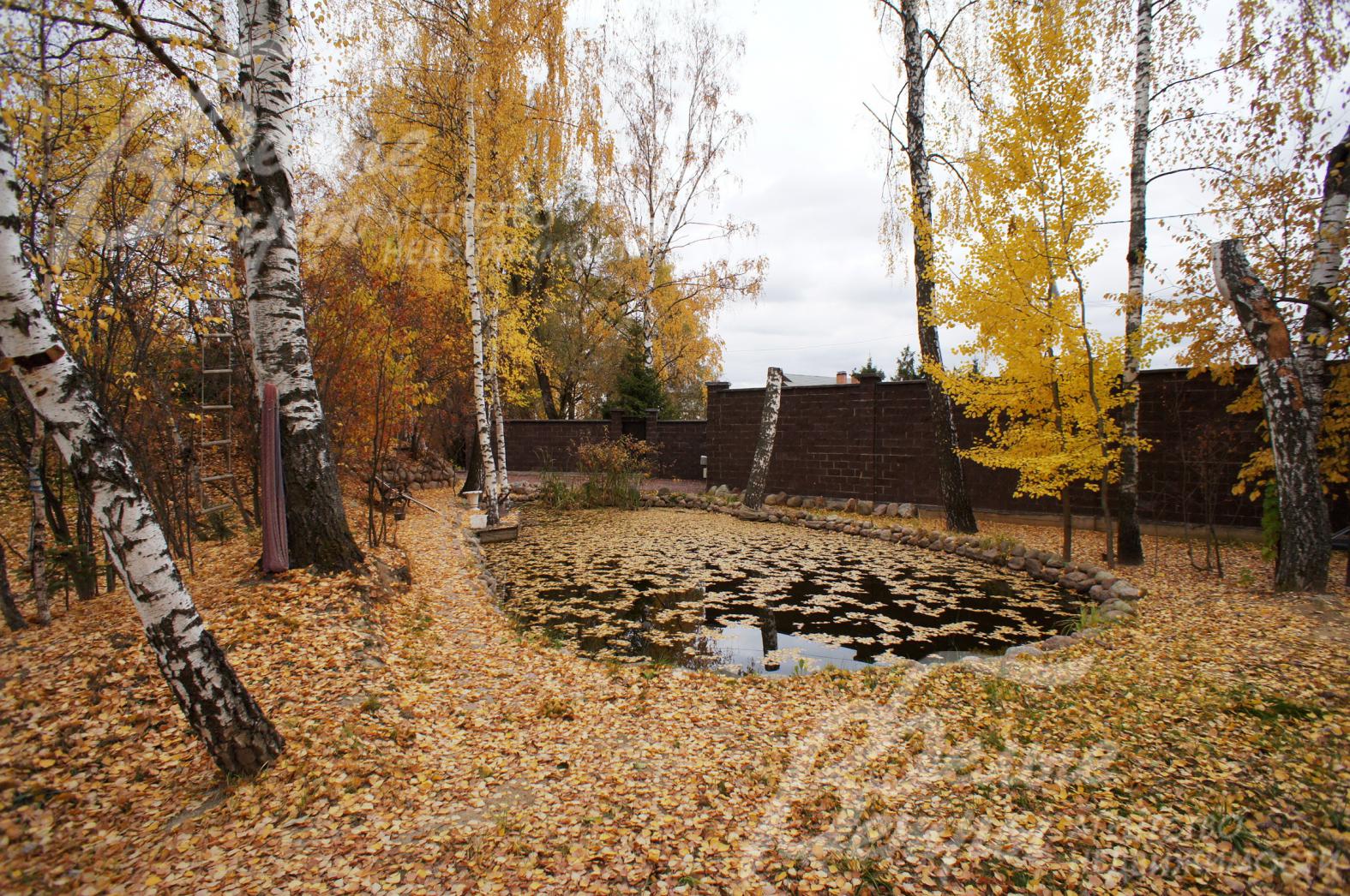 На территории усадьбы пруд с рыбами