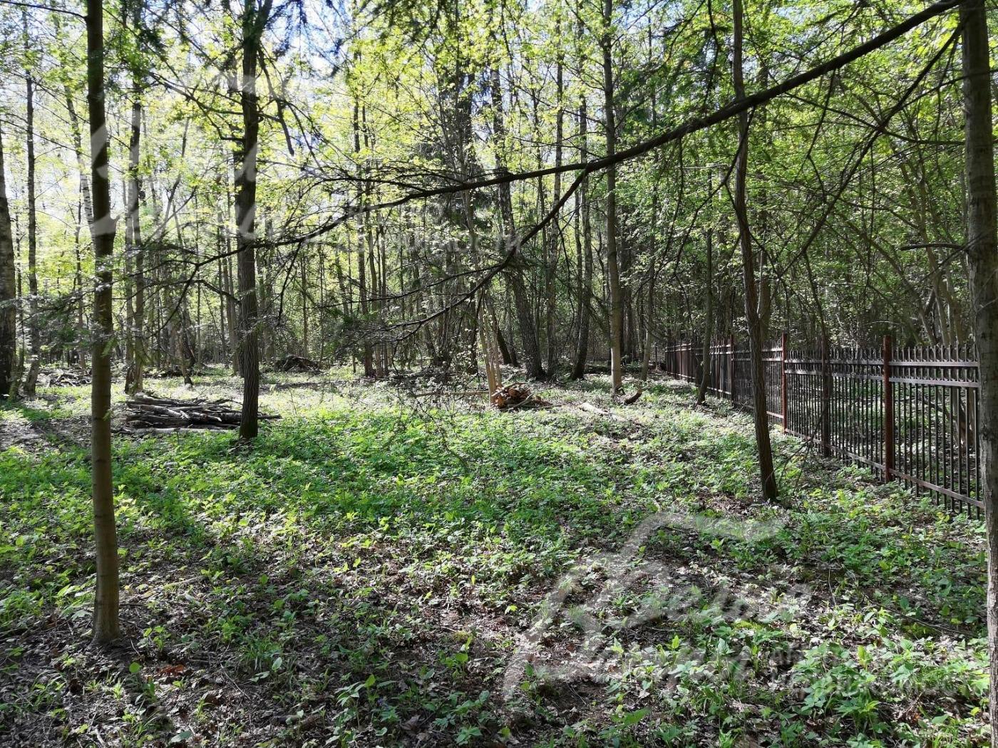 Участок 42 сотки сухой, ровный