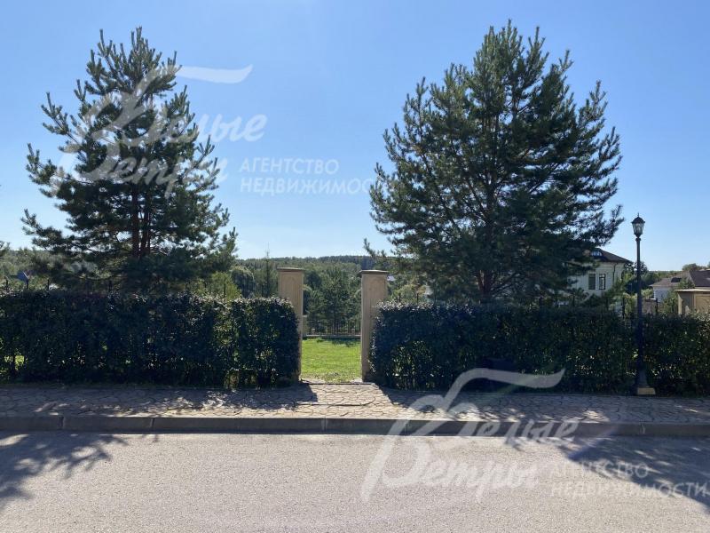 Живая изгородь вдоль забора