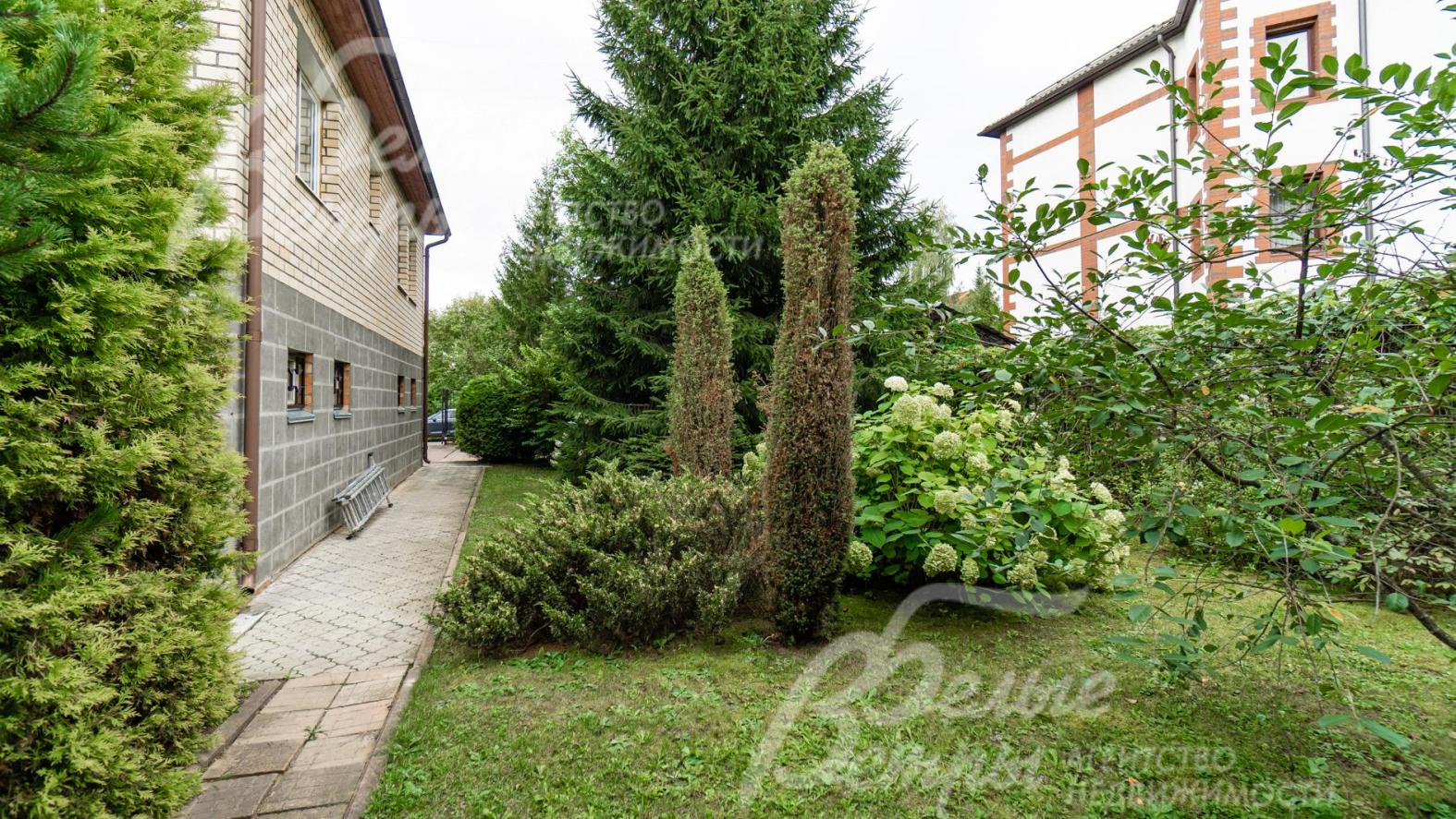 Красивые цветущие кустарники гортензии на участке