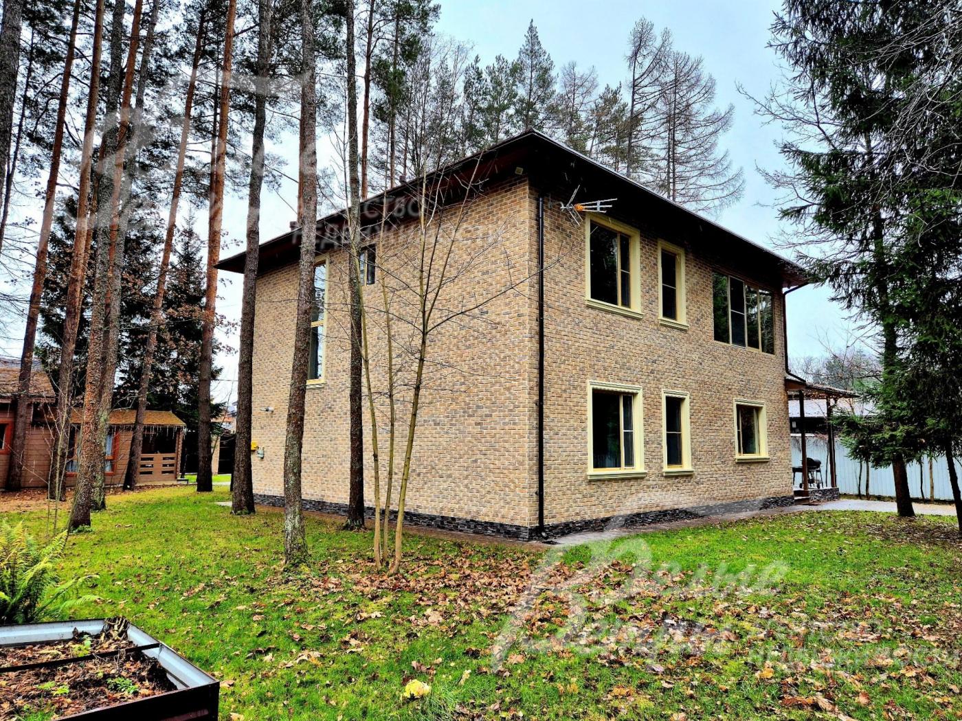 Дом в окружении леса