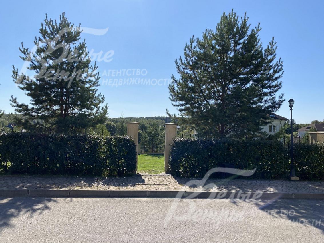 Живая изгородь вдоль забора