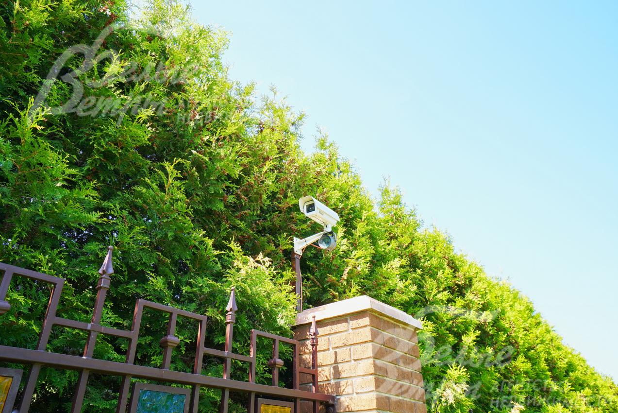 Установлена система сигнализации (по дому и по периметру участка, а также видеонаблюдение по периметру и по участку)