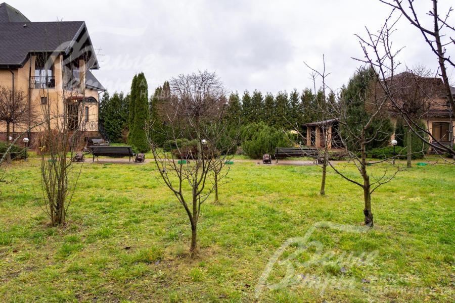 На участке высажены плодовые деревья и кустарники: яблони, черешни, слива, алыча, крыжовник, черная смородина