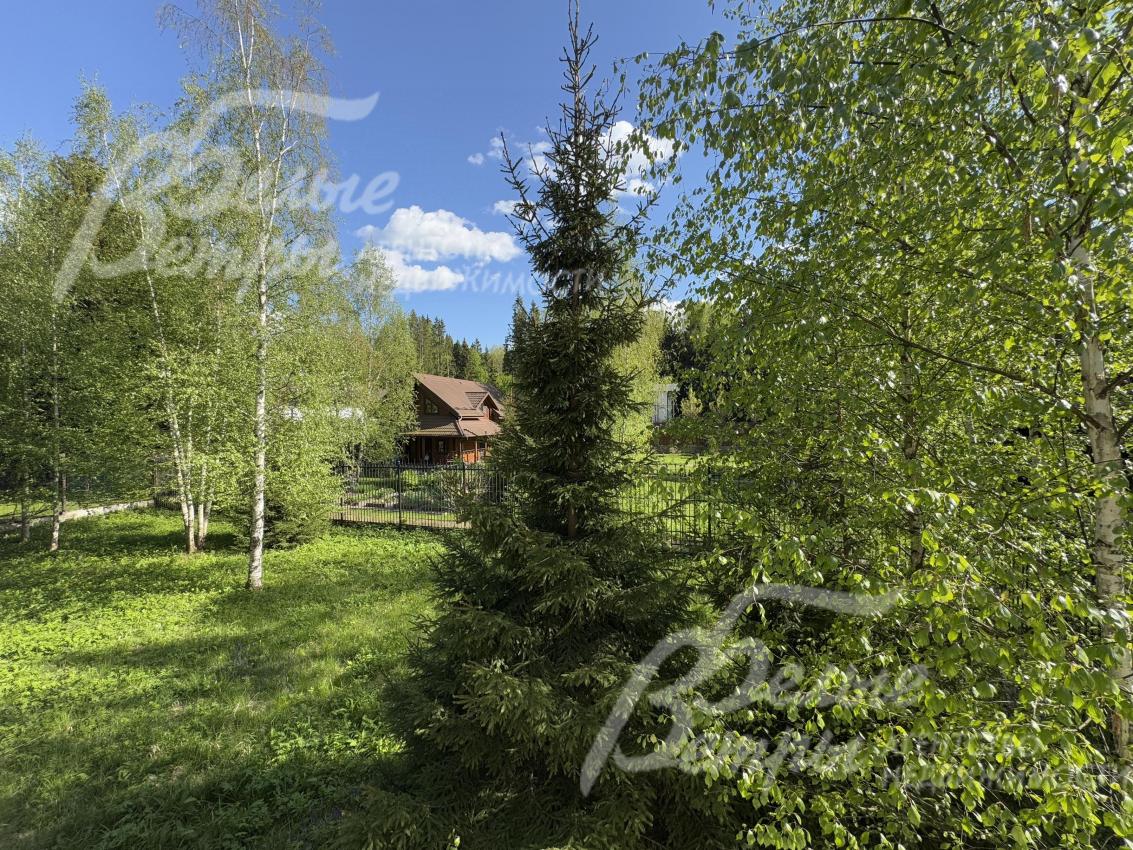 На участке много елей, что создаёт особенную природную атмосферу