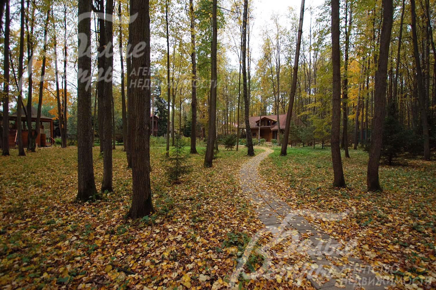 Участок 85 соток с ландшафтным дизайном и настоящим лесом