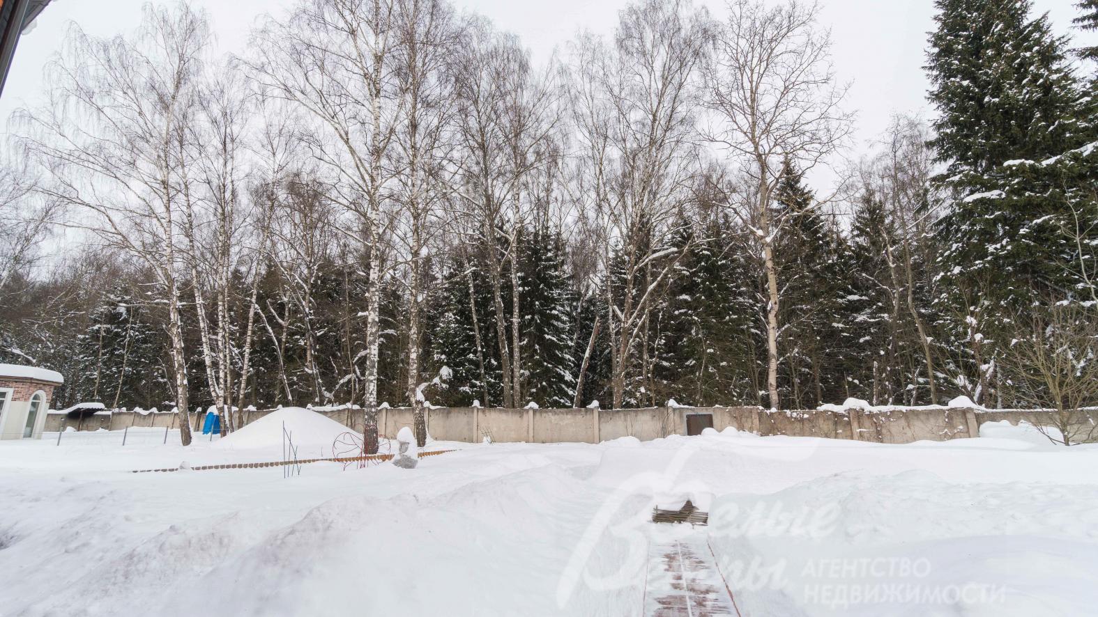 На участке несколько вековых берёз