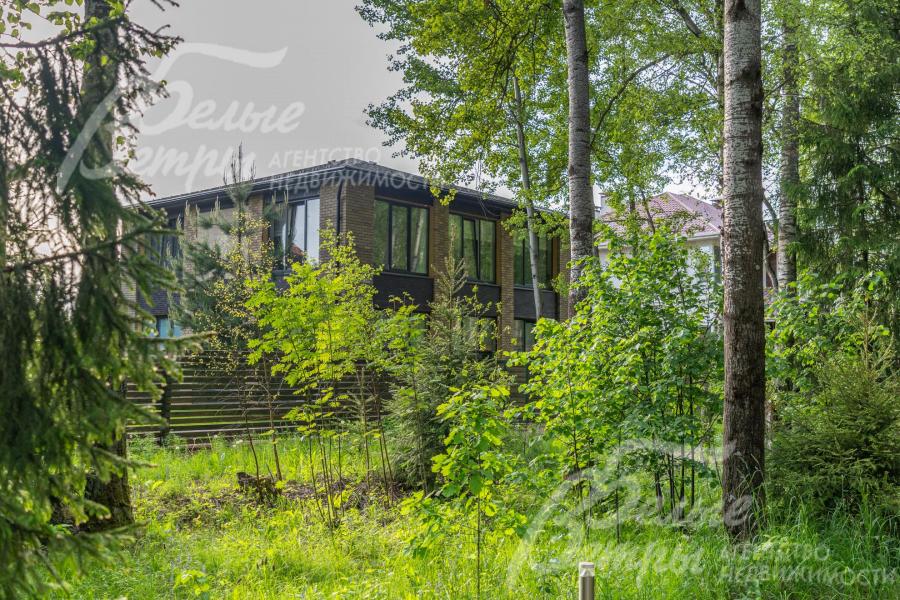 В лесу растут вековые деревья, обустроены тропинки, освещение, беседки, зоны барбекю